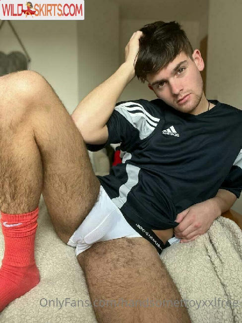 handsometroyxxlfree nude OnlyFans leaked photo #25