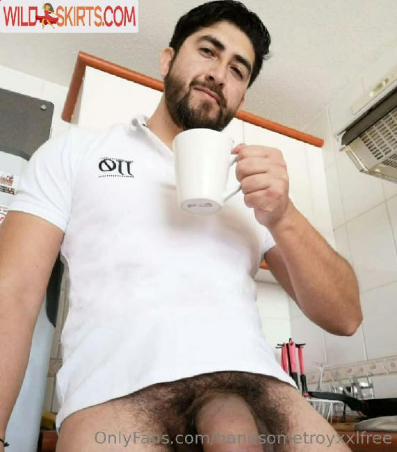 handsometroyxxlfree nude OnlyFans leaked photo #88