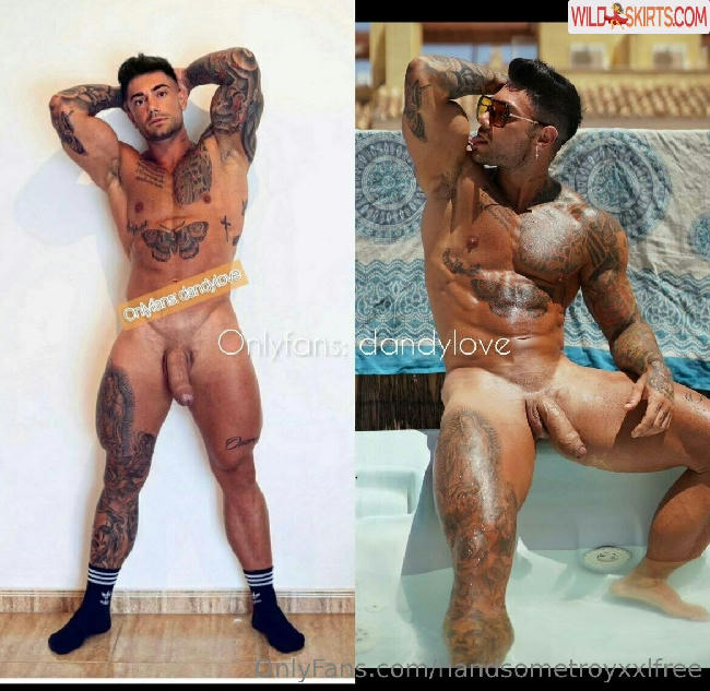 handsometroyxxlfree nude OnlyFans leaked photo #107