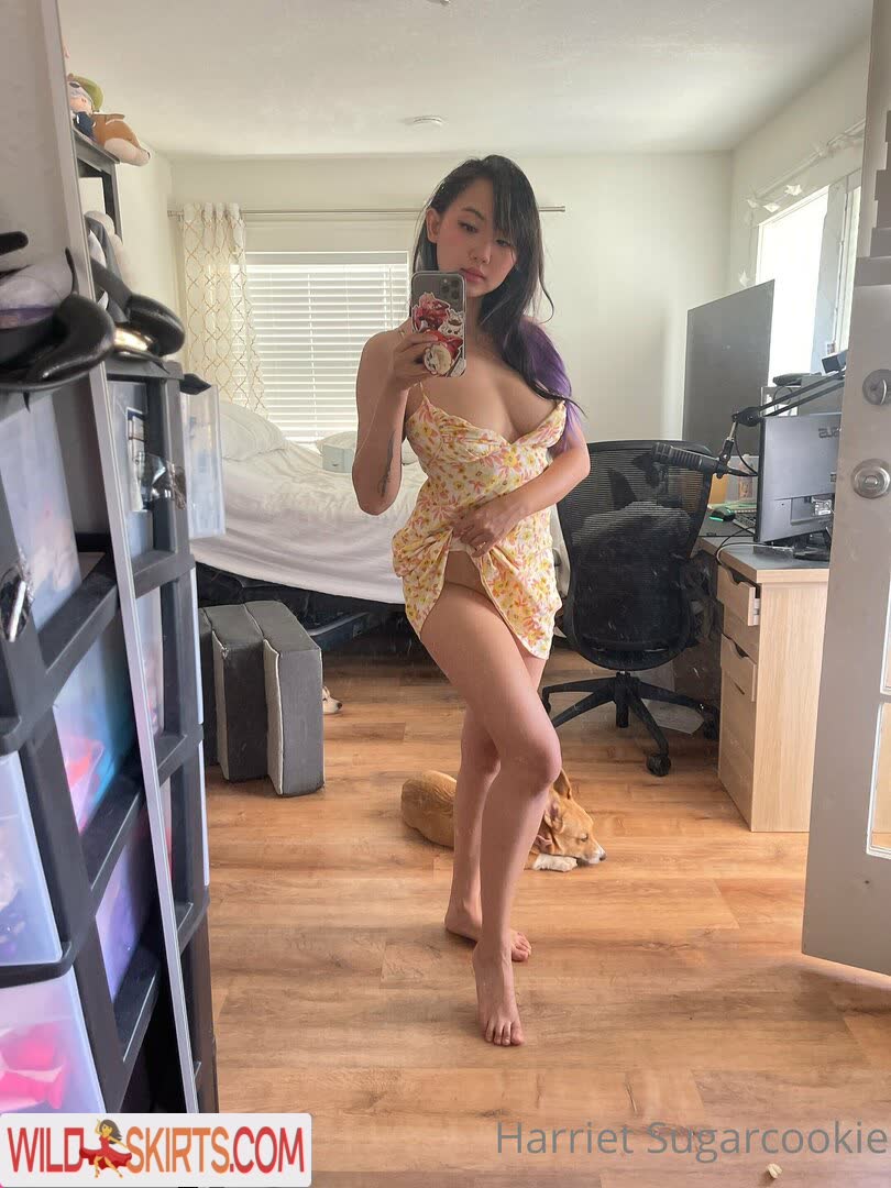 Harriet Sugarcookie nude leaked photo #156