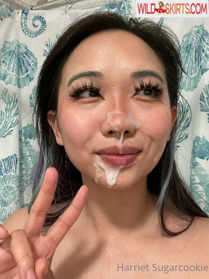 Harriet Sugarcookie nude leaked photo #184