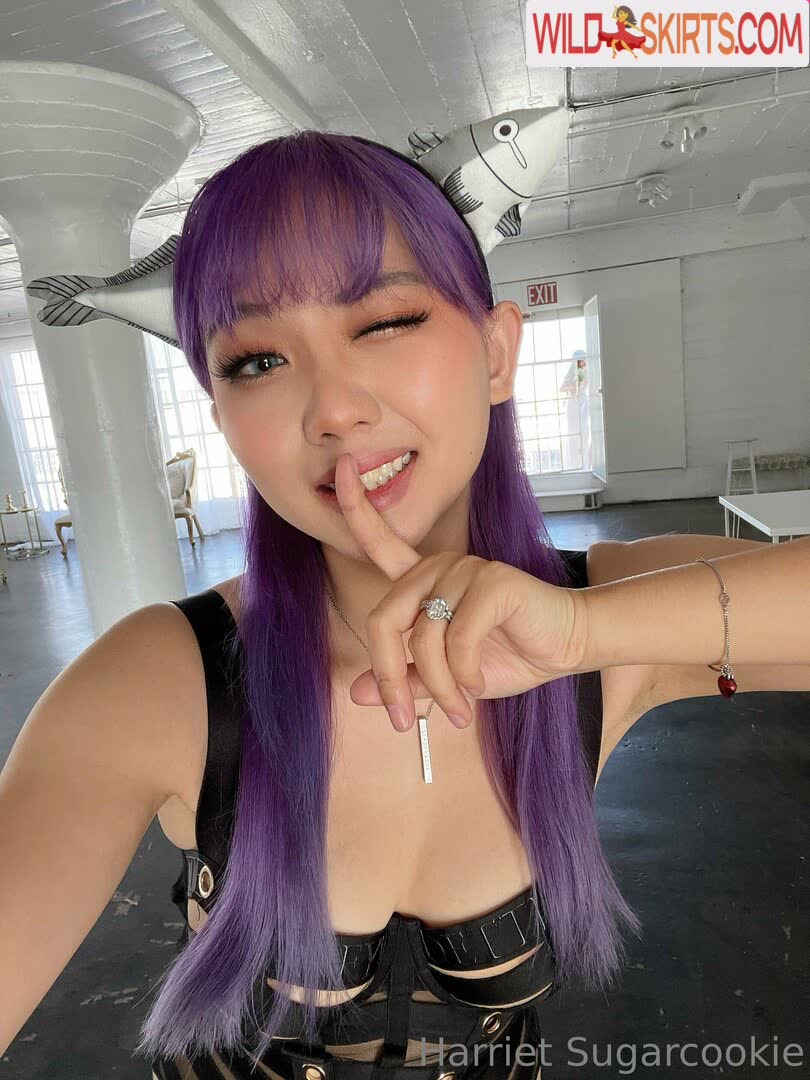 Harriet Sugarcookie / harrietsugarcookie / hsugarcookie / iamharrietsugarcookie nude OnlyFans, Instagram leaked photo #22