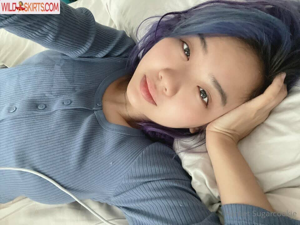 Harriet Sugarcookie nude leaked photo #13