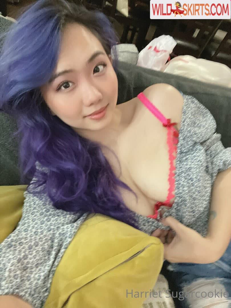 Harriet Sugarcookie nude leaked photo #386