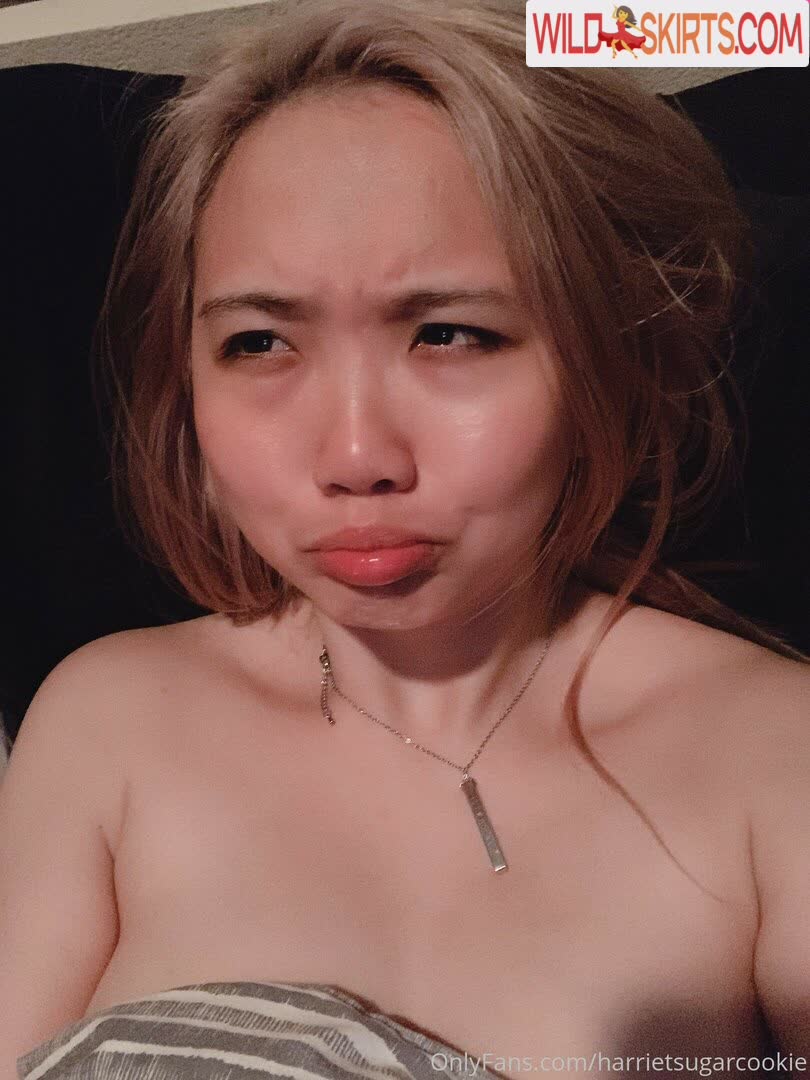 Harriet Sugarcookie nude leaked photo #318