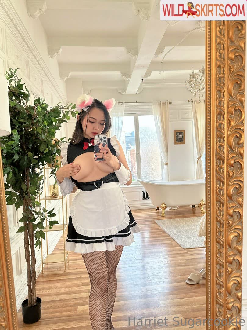 Harriet Sugarcookie / harrietsugarcookie / hsugarcookie / iamharrietsugarcookie nude OnlyFans, Instagram leaked photo #12