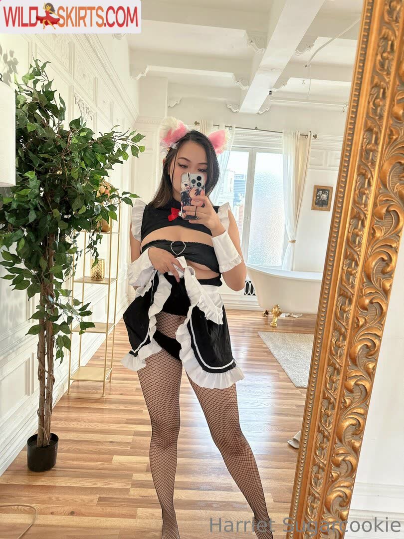 Harriet Sugarcookie nude leaked photo #456