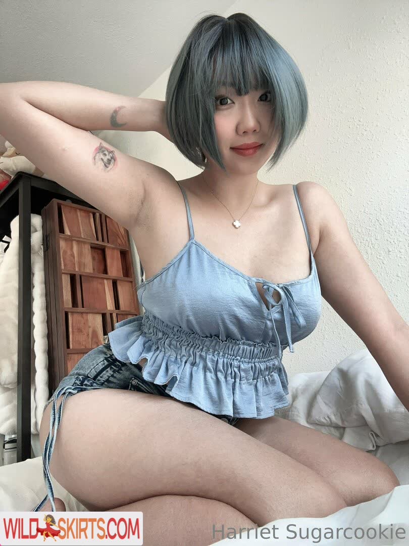 Harriet Sugarcookie / harrietsugarcookie / hsugarcookie / iamharrietsugarcookie nude OnlyFans, Instagram leaked photo #4