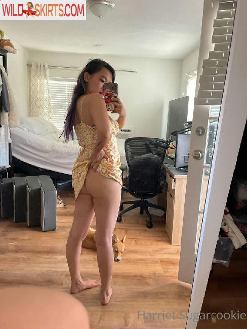 Harriet Sugarcookie / harrietsugarcookie / hsugarcookie / iamharrietsugarcookie nude OnlyFans, Instagram leaked photo #160