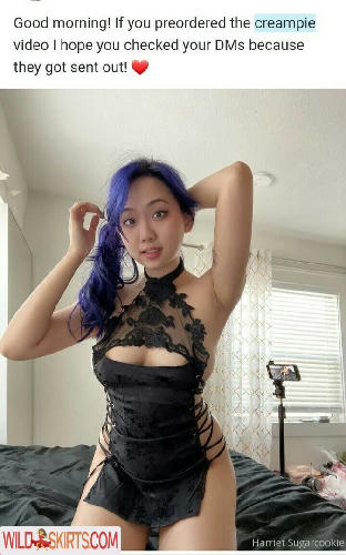 Harriet Sugarcookie / harrietsugarcookie / hsugarcookie / iamharrietsugarcookie nude OnlyFans, Instagram leaked photo #75