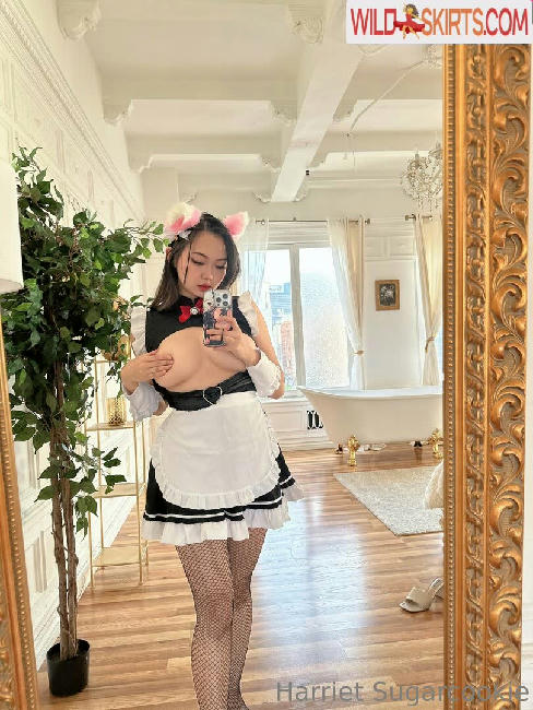 Harriet Sugarcookie / harrietsugarcookie / hsugarcookie / iamharrietsugarcookie nude OnlyFans, Instagram leaked photo #468