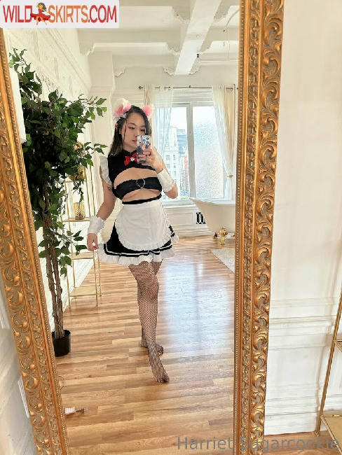 Harriet Sugarcookie / harrietsugarcookie / hsugarcookie / iamharrietsugarcookie nude OnlyFans, Instagram leaked photo #469