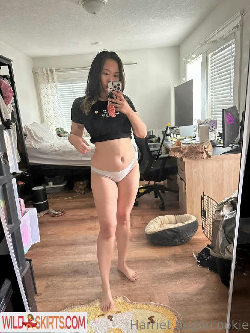 Harriet Sugarcookie / harrietsugarcookie / hsugarcookie / iamharrietsugarcookie nude OnlyFans, Instagram leaked photo #561