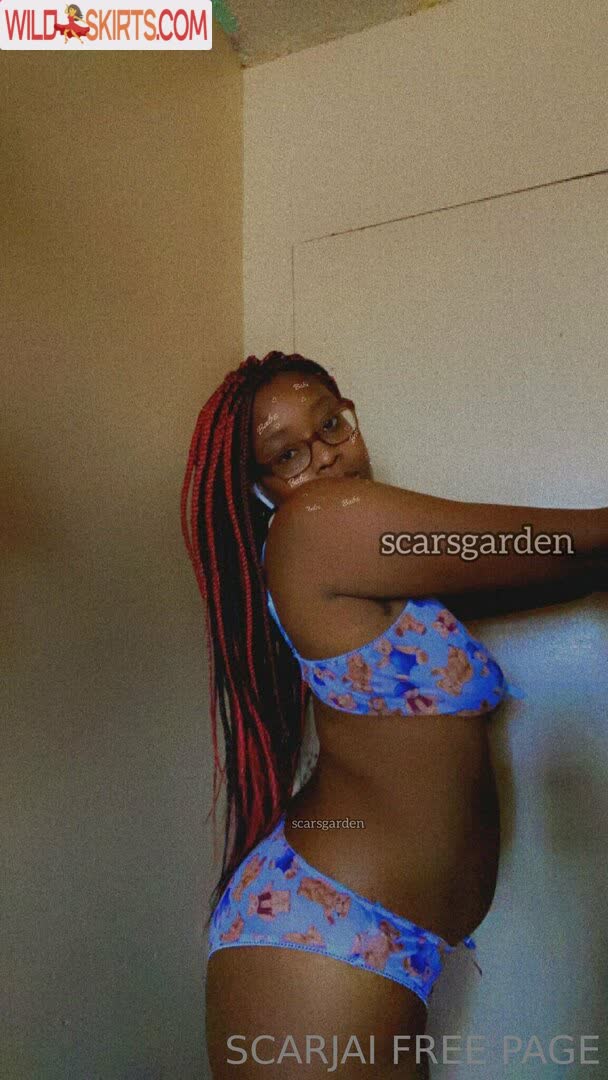 Heyscarjai nude leaked photo #34