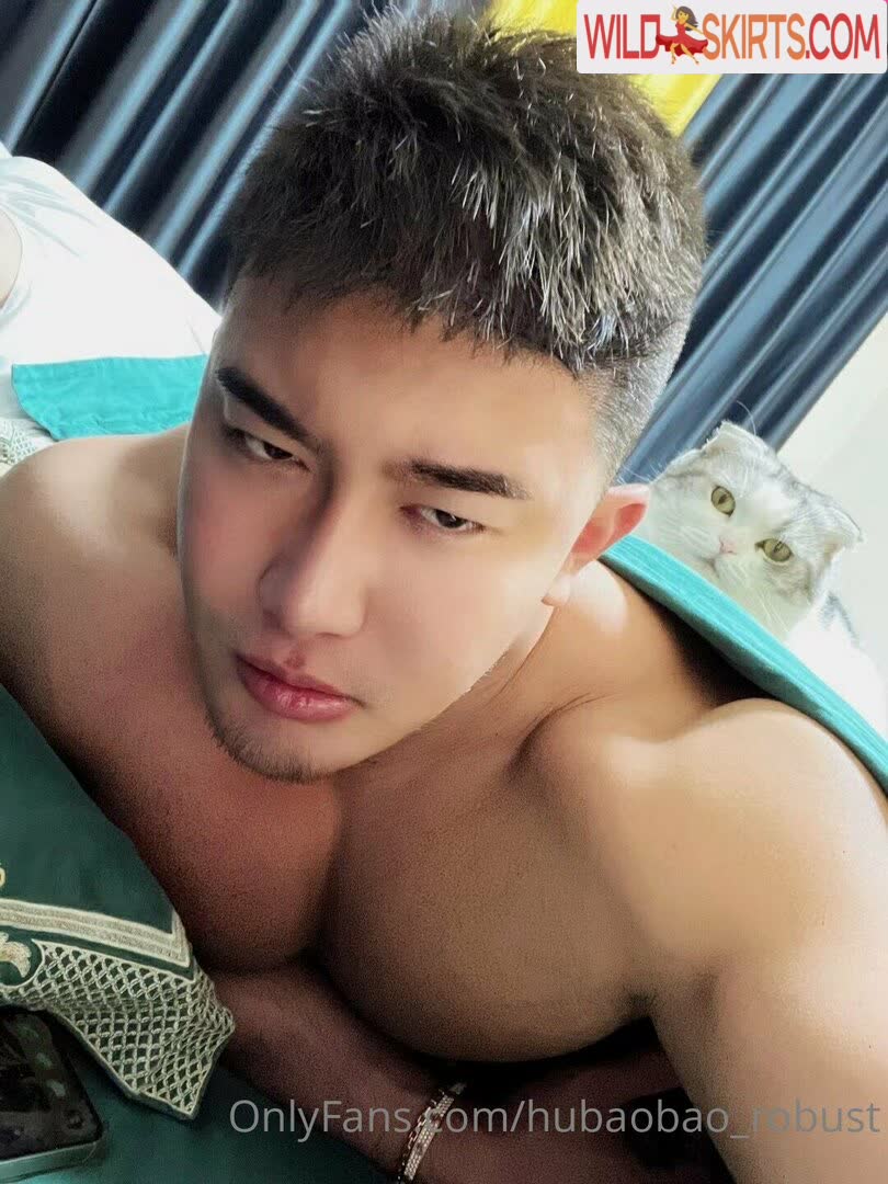 hubaobao_robust / hubaobao17 / hubaobao_robust nude OnlyFans, Instagram leaked photo #5