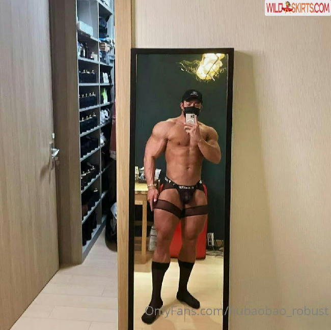 hubaobao_robust / hubaobao17 / hubaobao_robust nude OnlyFans, Instagram leaked photo #38