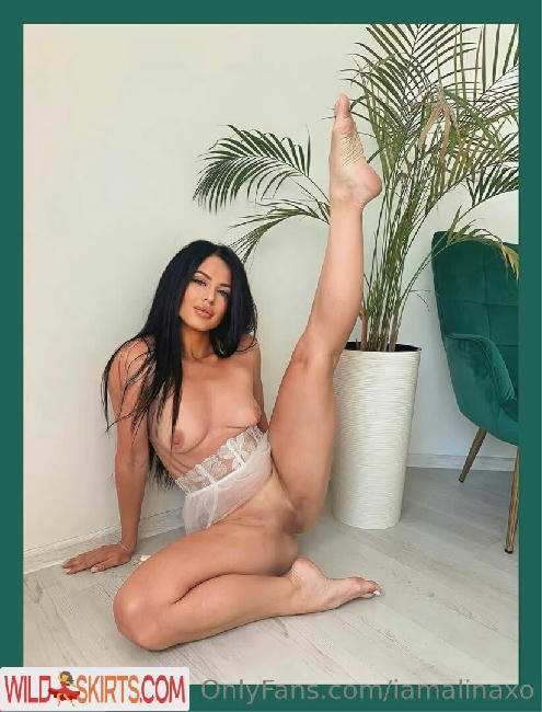 iamalinaxo / iamalinaaa / iamalinaxo nude OnlyFans, Instagram leaked photo #26