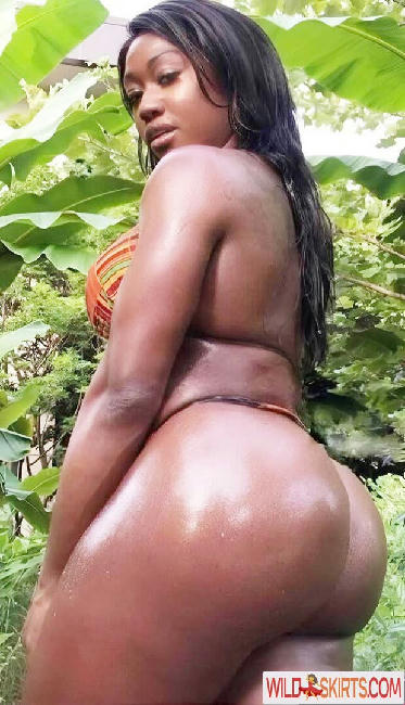 Iamnayfit / Missfit1 / Nayfit / Renee Jones / iamnayfit nude OnlyFans, Instagram leaked photo #57