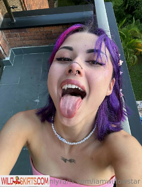 iamwillowstar / iamwillow003 / iamwillowstar / iamwillowstarr / willo00w / willowstar___ nude OnlyFans, Instagram leaked photo #59