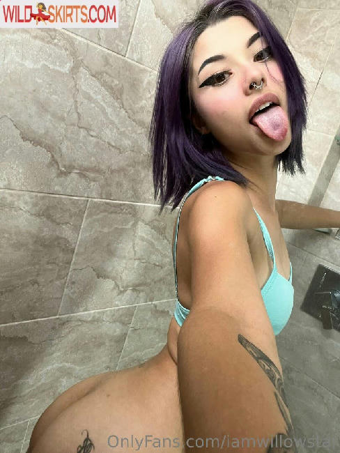 iamwillowstar / iamwillow003 / iamwillowstar / iamwillowstarr / willo00w / willowstar___ nude OnlyFans, Instagram leaked photo #8