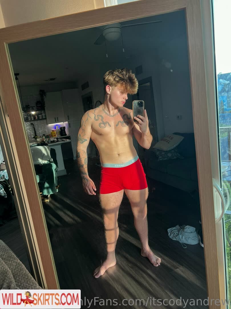 itscodyandrew / imcodyandrew / itscodyandrew nude OnlyFans, Instagram leaked photo #1