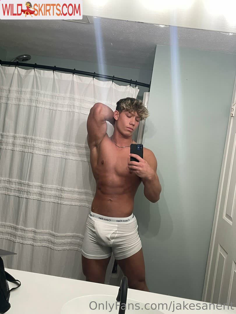 jakesanent / jakesan25 / jakesanent nude OnlyFans, Instagram leaked photo #3