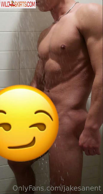 jakesanent / jakesan25 / jakesanent nude OnlyFans, Instagram leaked photo #3