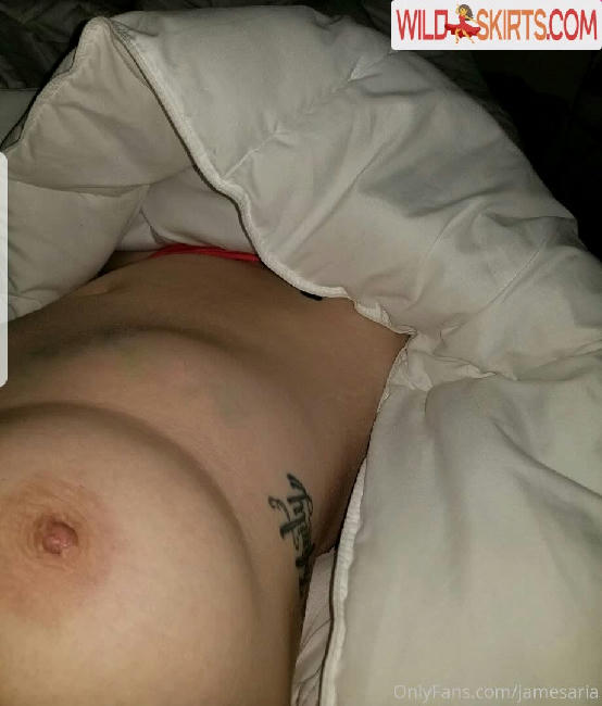 jamesaria / jamesaria / jamesarias nude OnlyFans, Instagram leaked photo #20