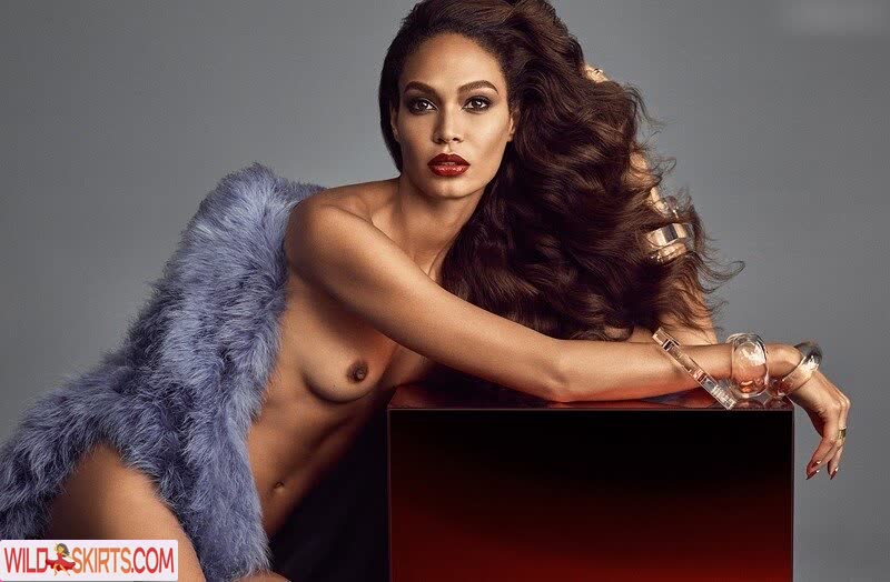 Joan Smalls nude leaked photo #28