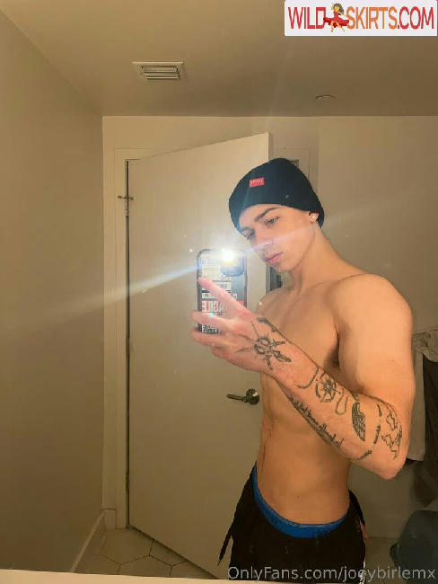 joeybirlemx / joeybirlem / joeybirlemx nude OnlyFans, Instagram leaked photo #11