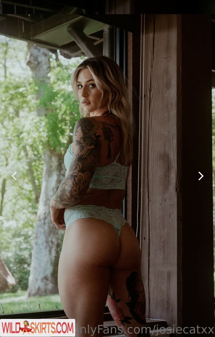 Josie Hamming / josiecatxx / josiehamming nude OnlyFans, Instagram leaked photo #2