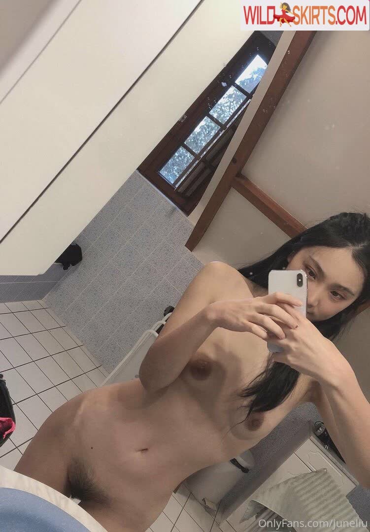 juneliu / juneliu / juneliusp nude OnlyFans, Instagram leaked photo #2