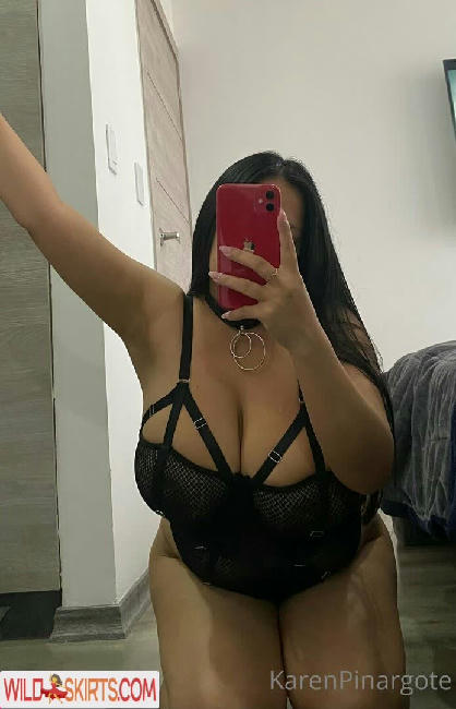 Karen Pinargote Torres / karenpinargot19 / karenpinargote / marilynptorres nude OnlyFans, Instagram leaked photo #111