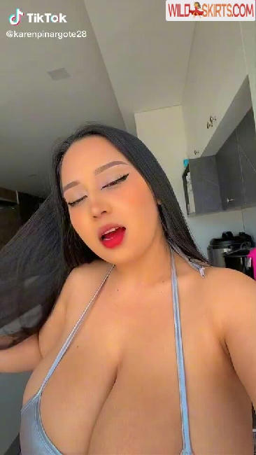 Karen Pinargote Torres / karenpinargot19 / karenpinargote / marilynptorres nude OnlyFans, Instagram leaked photo #125