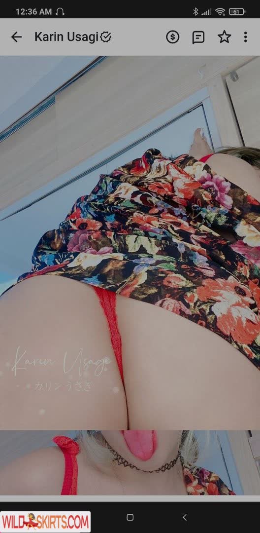 Karin Usagi nude leaked photo #6