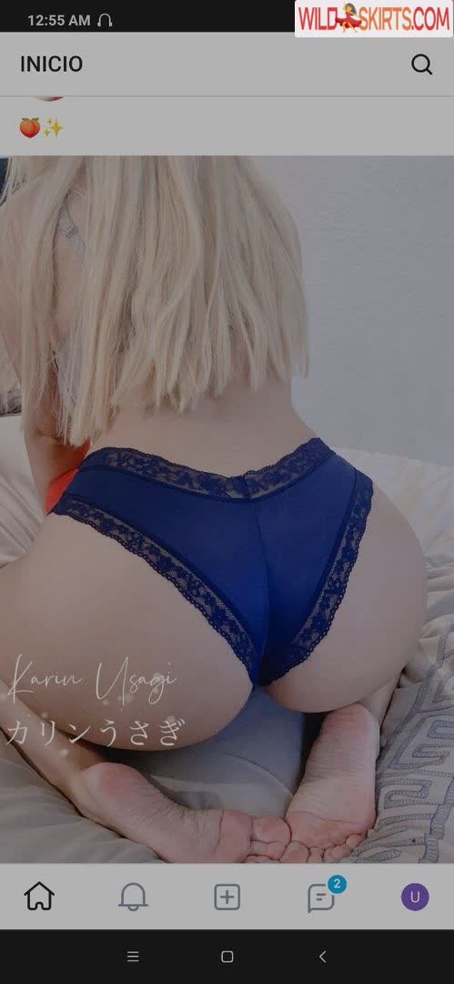 Karin Usagi / karin_usagi / karinusagi nude OnlyFans, Instagram leaked photo #11