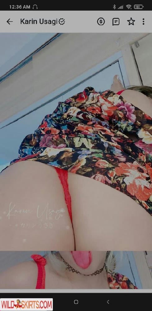 Karin Usagi / karin_usagi / karinusagi nude OnlyFans, Instagram leaked photo #6