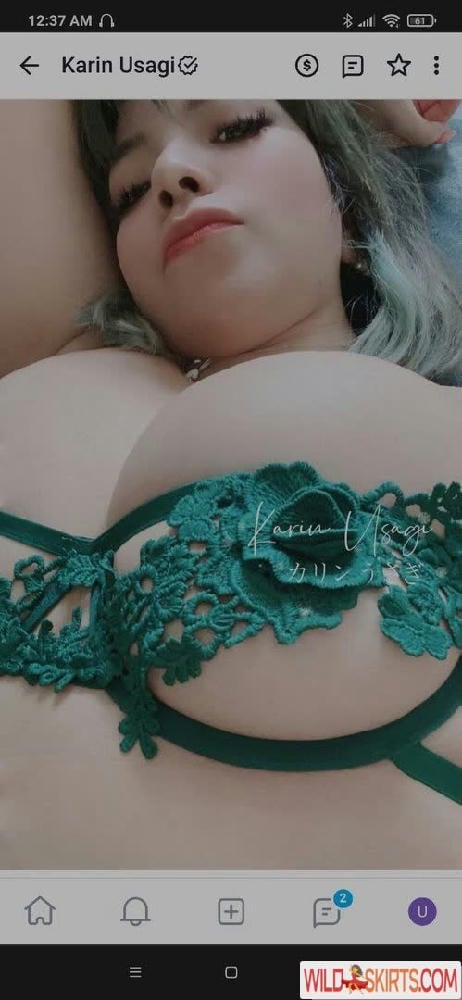 Karin Usagi / karin_usagi / karinusagi nude OnlyFans, Instagram leaked photo #18