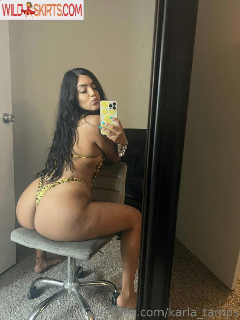 Karla_tamps / karla_tamps nude OnlyFans, Instagram leaked photo #28