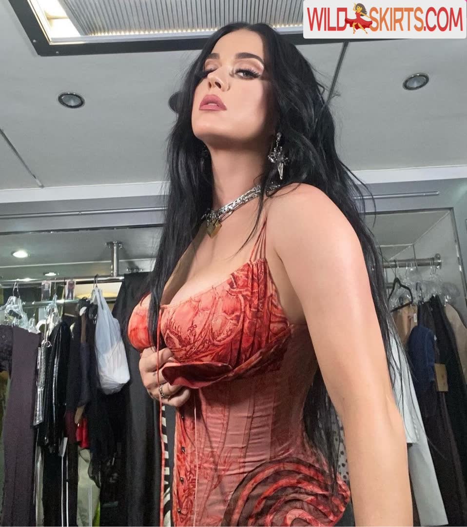 Katy Perry / katyperry nude OnlyFans, Instagram leaked photo #9