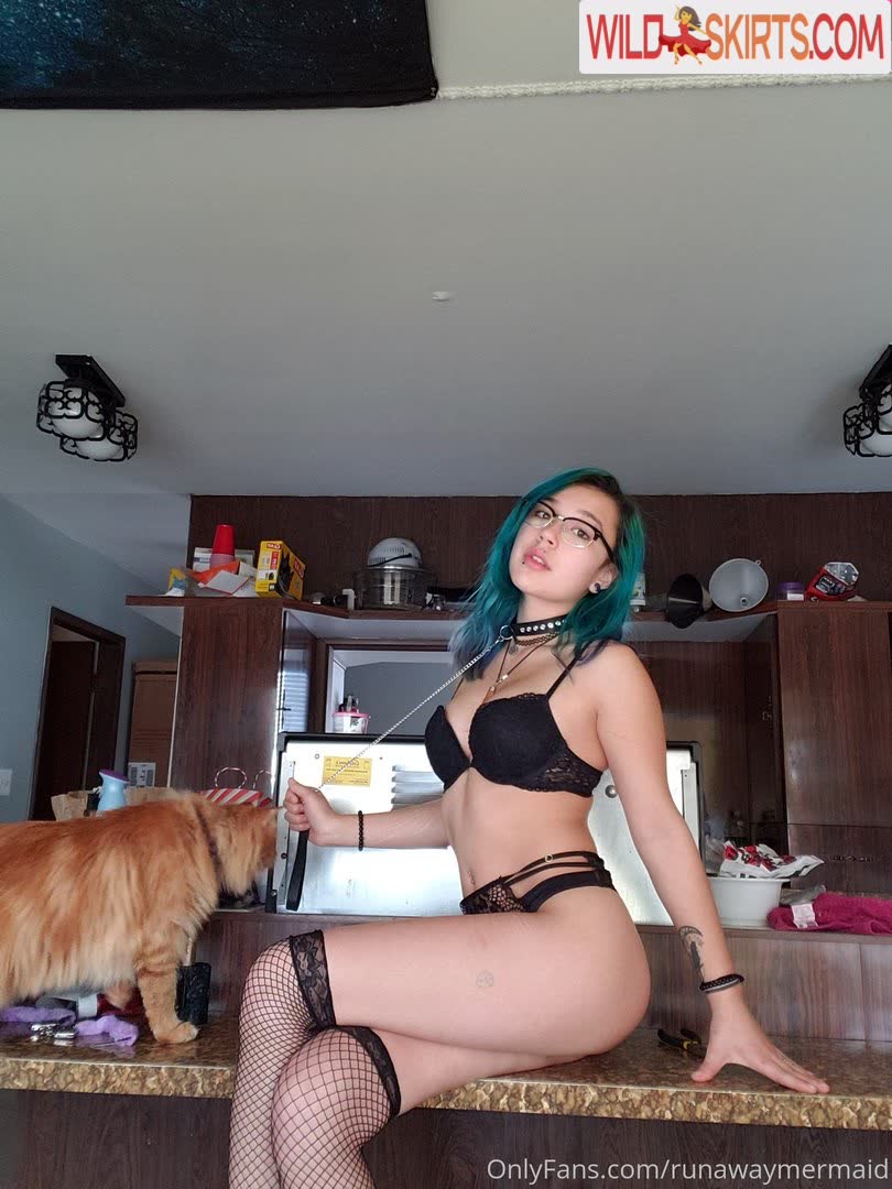 Kitty Kay / kidkandi_kittyk / theemisskittykay nude OnlyFans, Instagram leaked photo #4