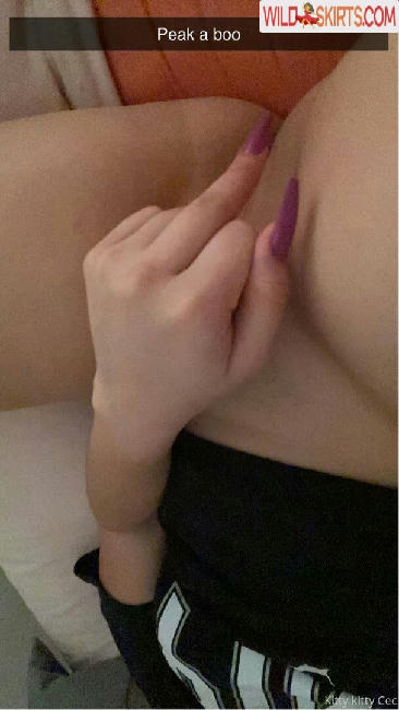 kittyscalling nude OnlyFans leaked photo #62