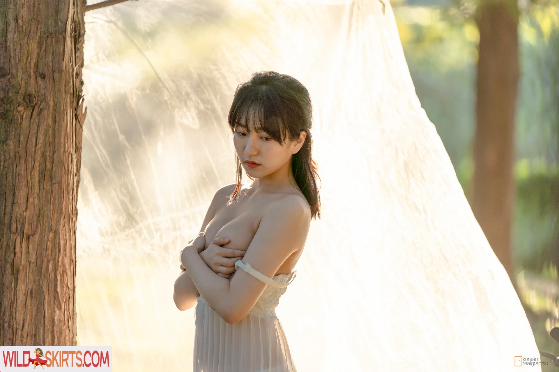 Korean Gravures nude leaked photo #17