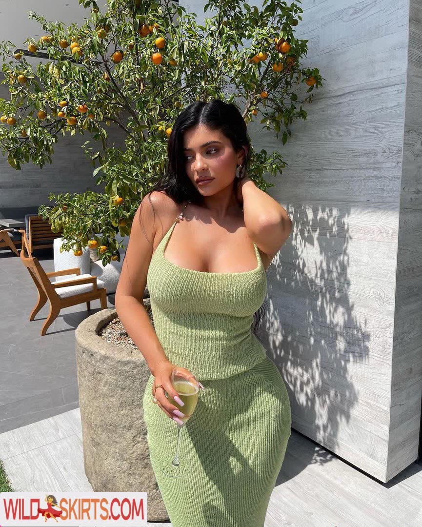 Kylie Jenner / kyliejenner / kyliejenner.2 nude OnlyFans, Instagram leaked photo #17