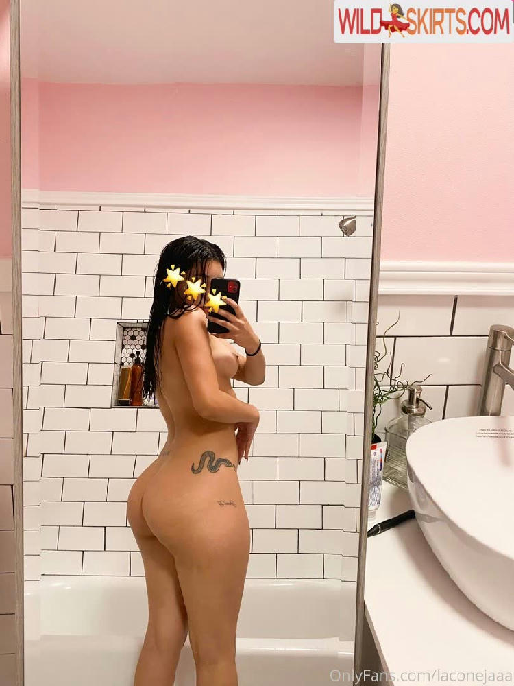 laconejaaa / laconejaaa / yamillca nude OnlyFans, Instagram leaked photo #47