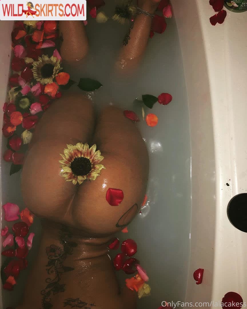 Lala Cakes nude leaked photo #24