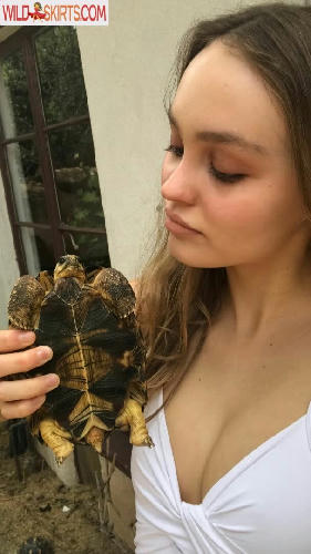 Lily-Rose Depp / lilyannerose / lilyrose_depp / lilyrosemeldepp nude OnlyFans, Instagram leaked photo #277