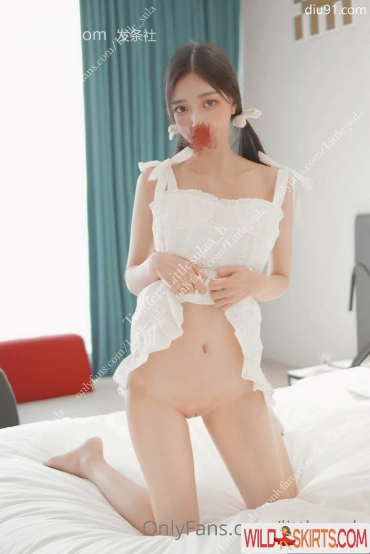 Little_sula / little_sula / littlesula_ / 리틀설아 nude OnlyFans, Instagram leaked photo #9