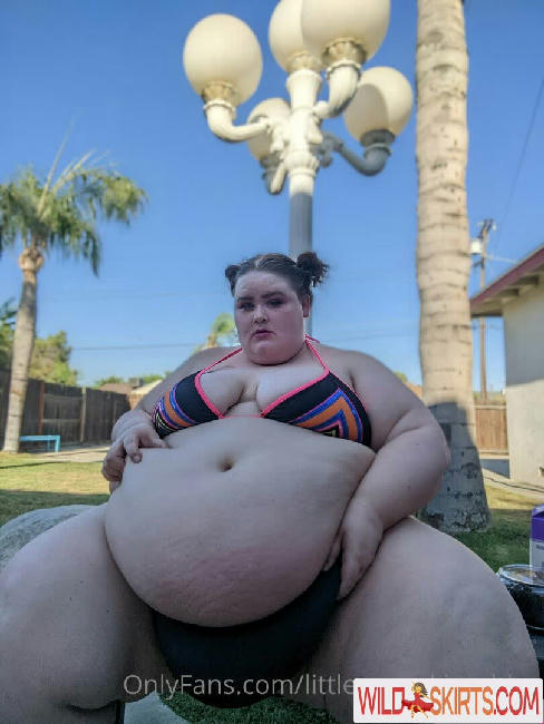 littlepumpkinssbbw nude OnlyFans, Instagram leaked photo #23