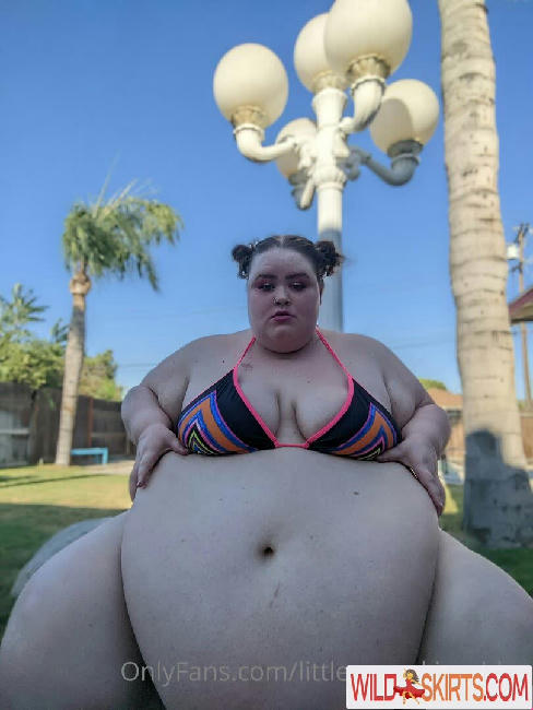 littlepumpkinssbbw nude OnlyFans, Instagram leaked photo #25